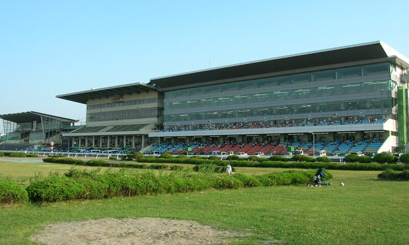 浦和競馬場